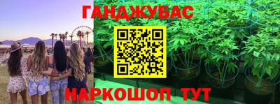 каннабис Будённовск