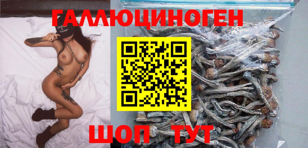 Галлюциногенные грибы Magic Shrooms Новозыбков