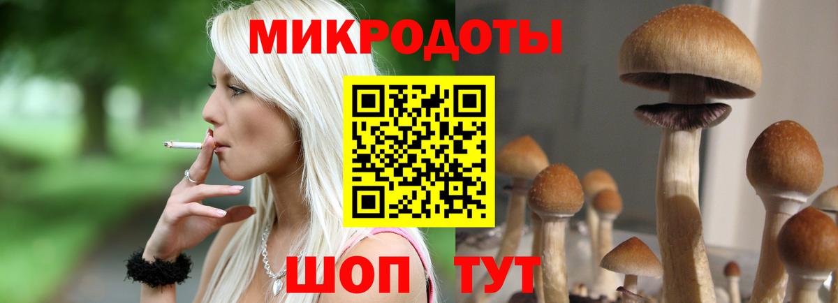 Новозыбков  Галлюциногенные грибы MAGIC MUSHROOMS  Вход с VPN 