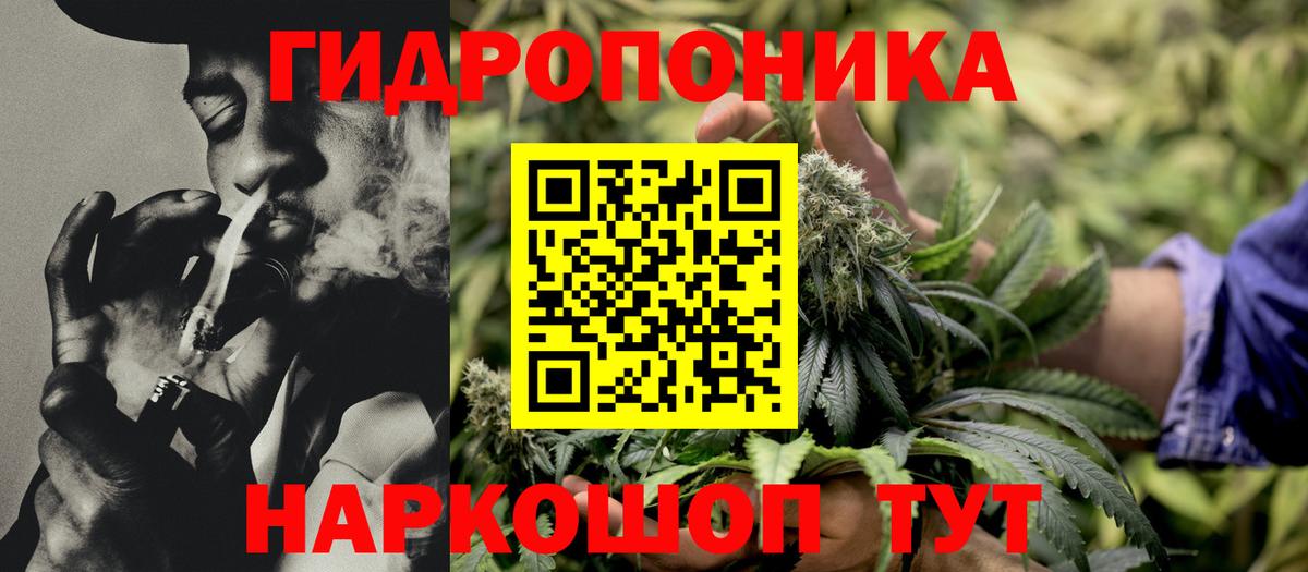 Бошки Шишки план  МАРИХУАНА LSD WEED  Бошки марихуана SATIVA & INDICA  Вход с VPN  Новозыбков  Шишки марихуана марихуана 